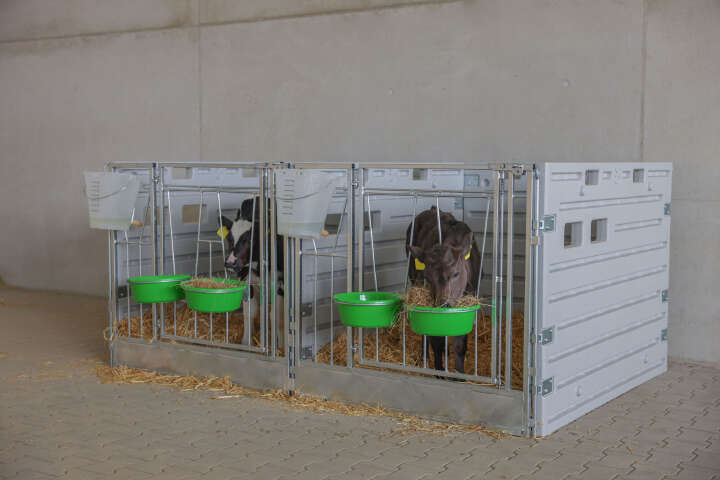 KERBL Modulare Kälberbox (Doppelbucht)